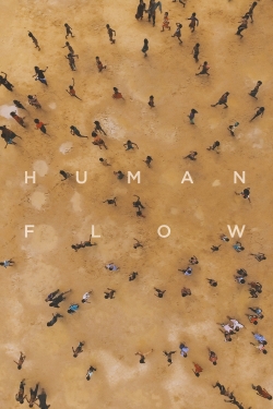 Human Flow-stream