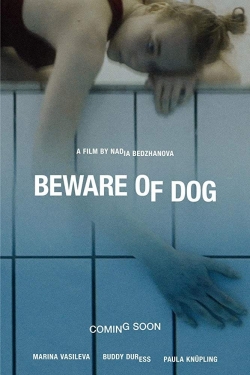 Beware of Dog-stream