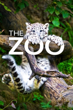 The Zoo-stream