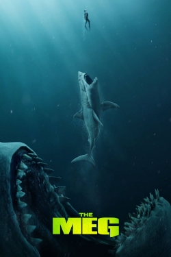 The Meg-stream