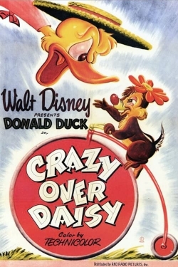 Crazy Over Daisy-stream