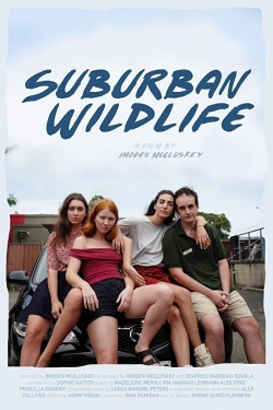 Suburban Wildlife-stream