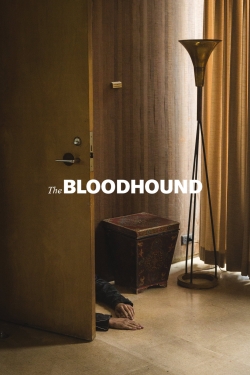 The Bloodhound-stream