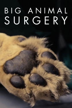 Big Animal Surgery-stream