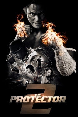 The Protector 2-stream