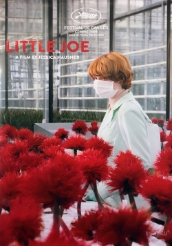 Little Joe-stream