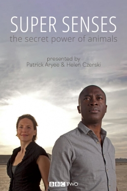 Super Senses: The Secret Power of Animals-stream