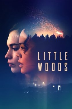 Little Woods-stream