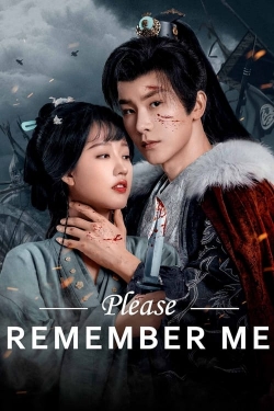 Please Remember Me-stream