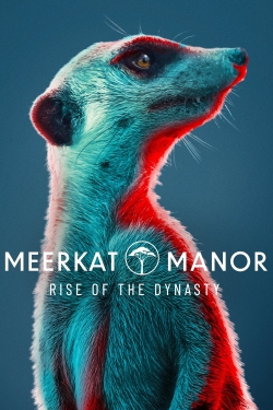 Meerkat Manor: Rise of the Dynasty-stream