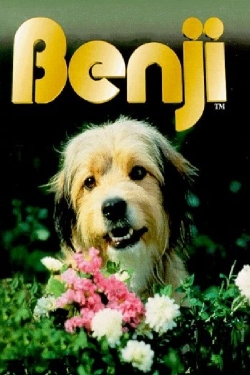 Benji-stream