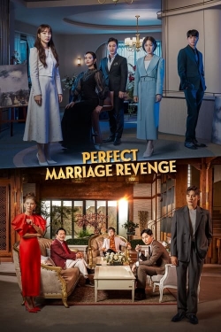 Perfect Marriage Revenge-stream