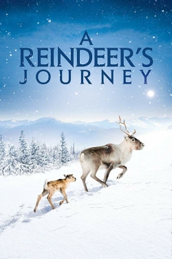 A Reindeer's Journey-stream