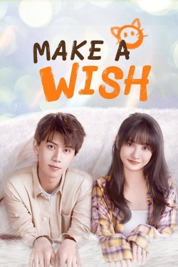 Make a Wish-stream