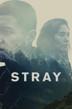 Stray-stream