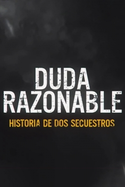 Reasonable Doubt: A Tale of Two Kidnappings-stream