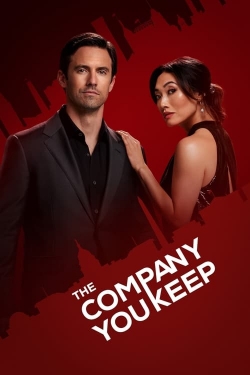 The Company You Keep-stream