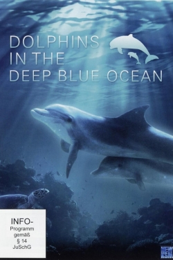 Dolphins in the Deep Blue Ocean-stream