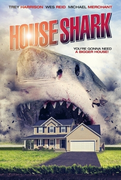 House Shark-stream