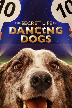 The Secret Life of Dancing Dogs-stream