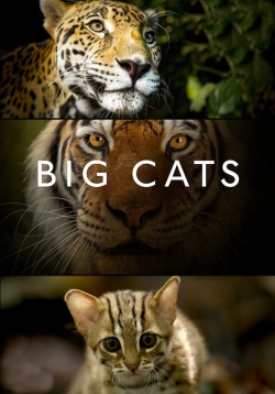 Big Cats-stream