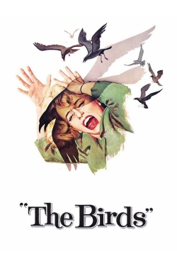 The Birds-stream