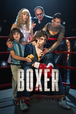 Boxer-stream