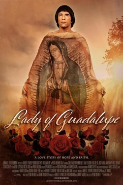 Lady of Guadalupe-stream