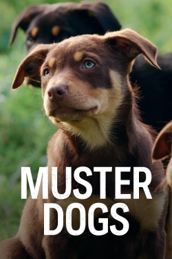 Muster Dogs-stream