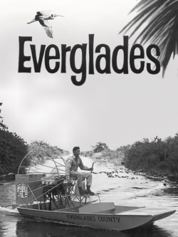 Everglades-stream