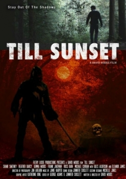 Till Sunset-stream