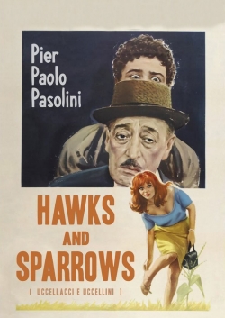 Hawks and Sparrows-stream