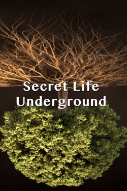 Secret Life Underground-stream