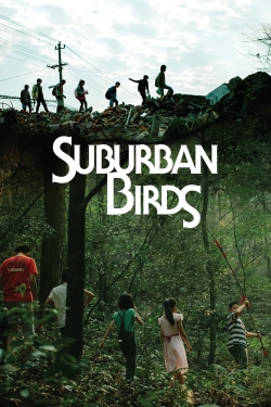 Suburban Birds-stream