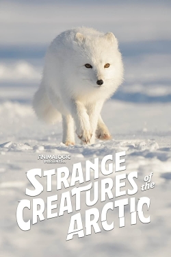 Strange Creatures of the Arctic-stream