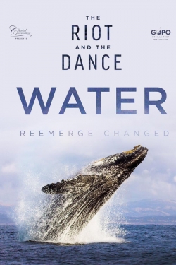 The Riot and the Dance: Water-stream