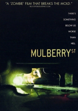 Mulberry Street-stream