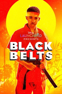 Black Belts-stream