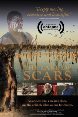 The Lake of Scars-stream