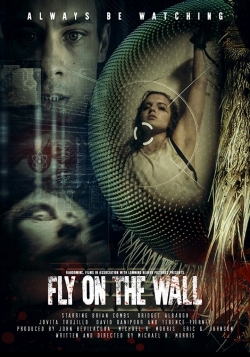 Fly on the Wall-stream