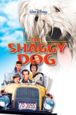 The Shaggy Dog-stream