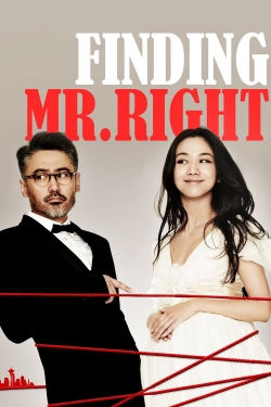 Finding Mr. Right-stream