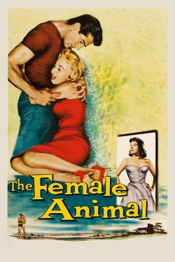 The Female Animal-stream