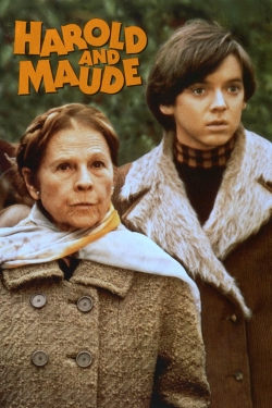 Harold and Maude-stream