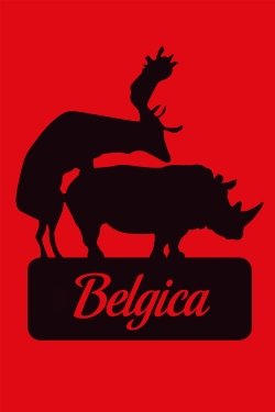 Belgica-stream