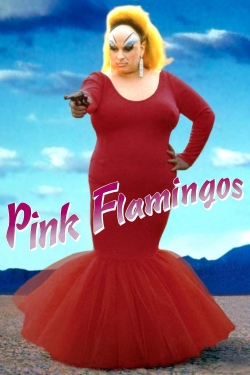 Pink Flamingos-stream