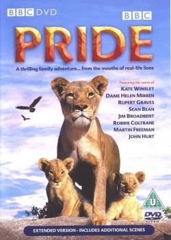 Pride-stream