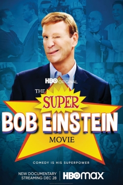 The Super Bob Einstein Movie-stream