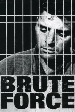 Brute Force-stream