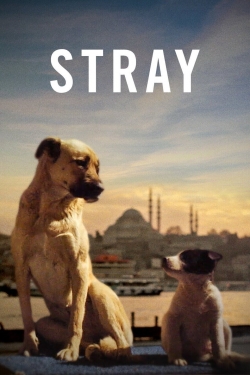 Stray-stream